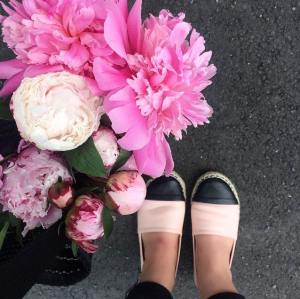 11653291_10153387809281257_454552672_n