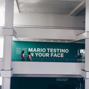 11874160_10153486560486257_605722383_n