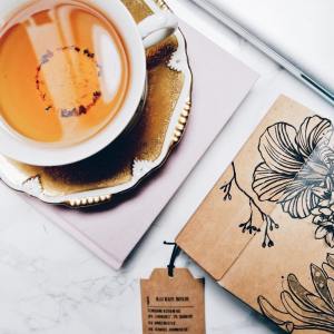 11909887_10153506291156257_951476717_n