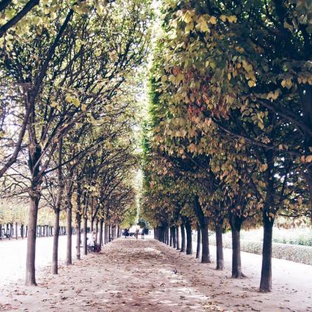 12181756_10153652253066257_419908780_n